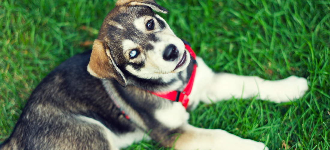 账号授权码的免费测试呼死你